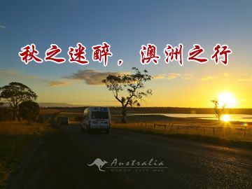 秋之迷醉，澳洲之行